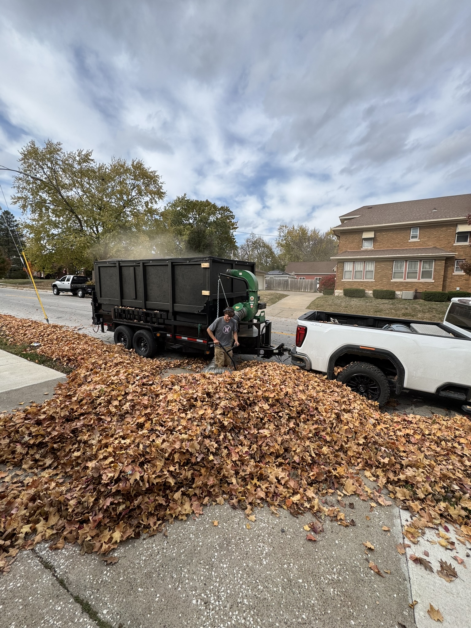 landscaping